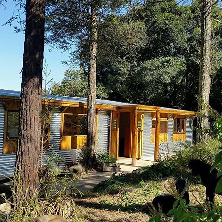 Evergreen Cabin Karkloof Yarrow エクステリア 写真